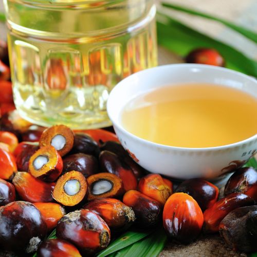 Refined Palm Oil